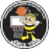 https://img.shcarcolor.com/img/basketball/team/e416830f4083698237c559f8988ddb25.png