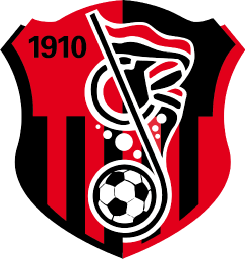 https://img.shcarcolor.com/img/football/team/93e018cff141af47eae05333ac19a65d.png