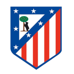 https://img.shcarcolor.com/img/football/team/a65e111e5483b52fc721be46f19f4982.png