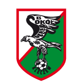 https://img.shcarcolor.com/img/football/team/e6a8908dd206e2ea02d9803c82c60bba.png